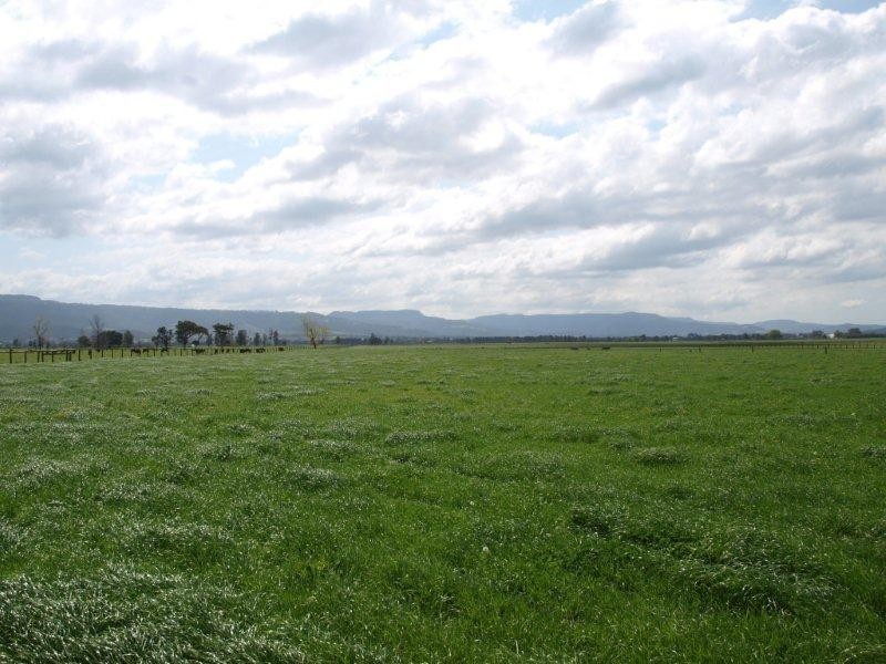 505 Bolong Road, Berry NSW 2535