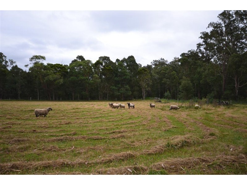 2 Watt Road, Falls Creek NSW 2540