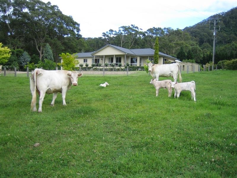 Shoalhaven Heads NSW 2535