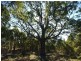 122 Parma Road, Falls Creek NSW 2540