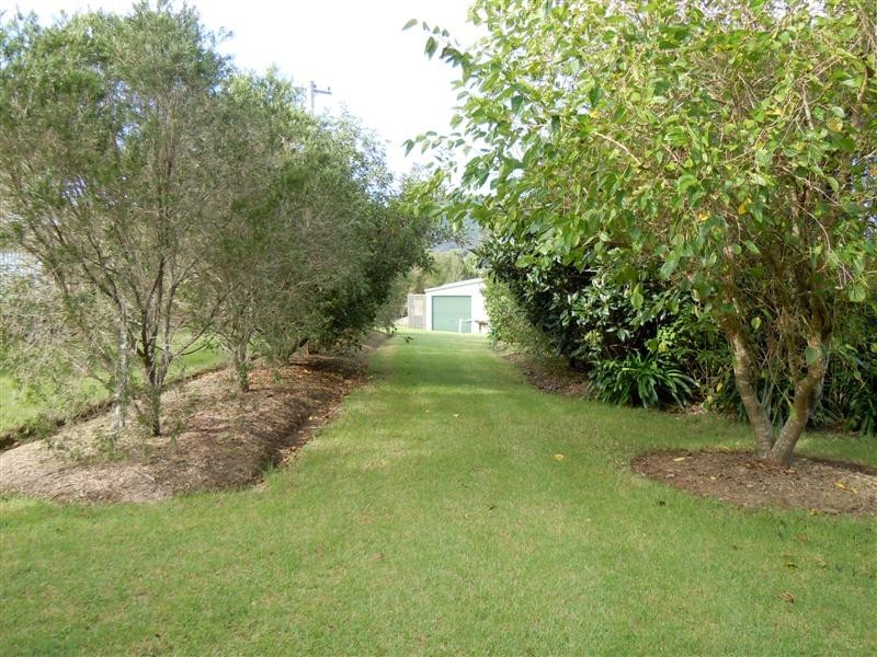 278 Coolangatta Road, Berry NSW 2535