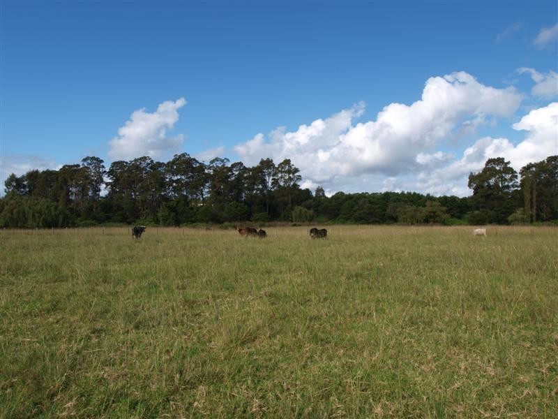 C190 Princes Highway, Meroo Meadow NSW 2540