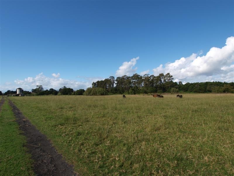 C190 Princes Highway, Meroo Meadow NSW 2540