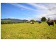 Lot 2 Moss Vale Road, Barrengarry NSW 2577