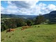 Kangaroo Valley NSW 2577