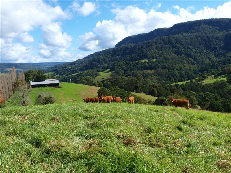 Kangaroo Valley NSW 2577