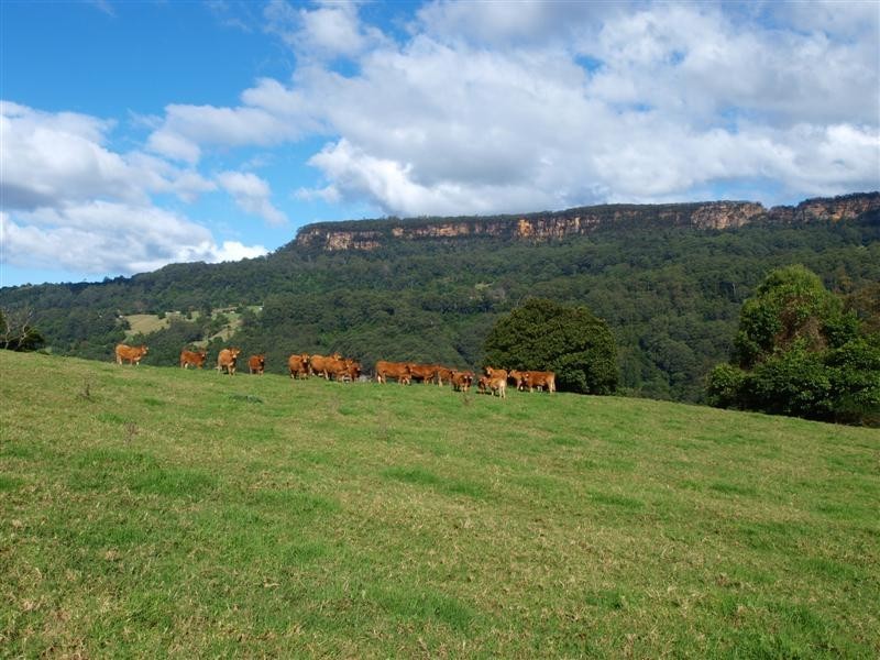 Kangaroo Valley NSW 2577