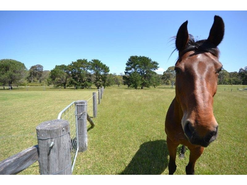 49 Tallais Close, Worrigee NSW 2540