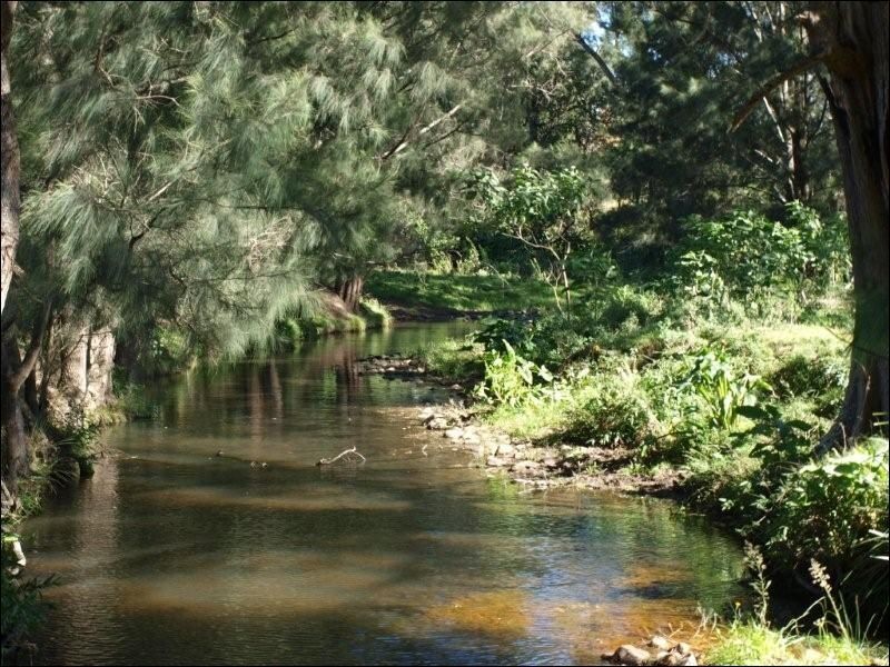 Portion 2 Main Road, Cambewarra NSW 2540