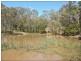213 Gannet Road, Nowra Hill NSW 2540