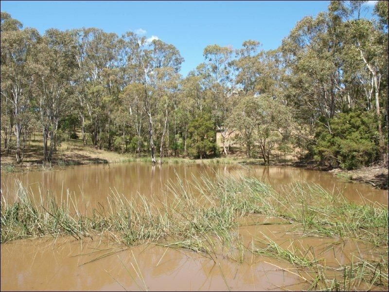 213 Gannet Road, Nowra Hill NSW 2540