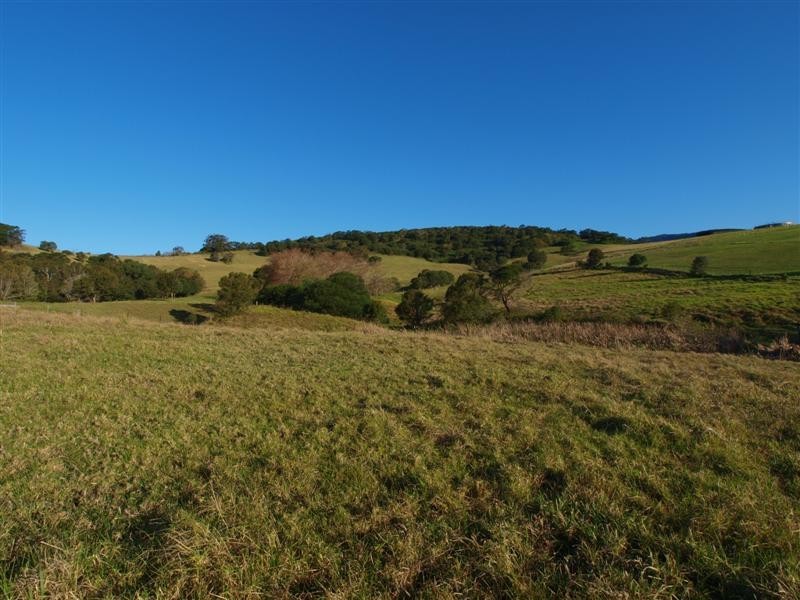 19 Macquarie Street, Jamberoo NSW 2533