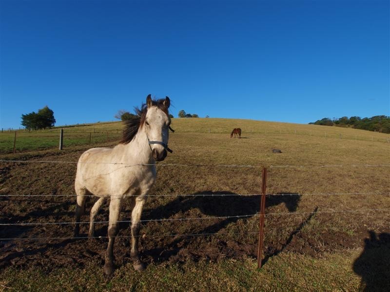 19 Macquarie Street, Jamberoo NSW 2533