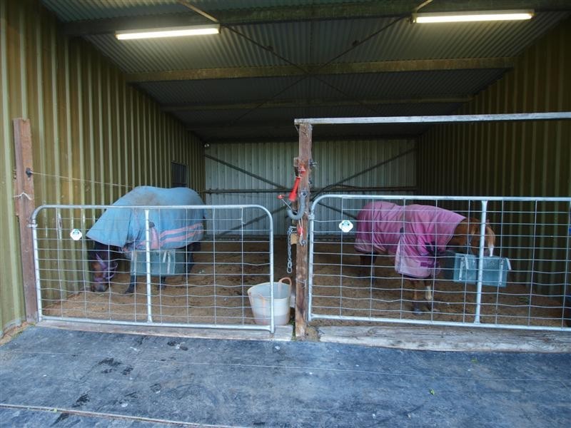 19 Macquarie Street, Jamberoo NSW 2533