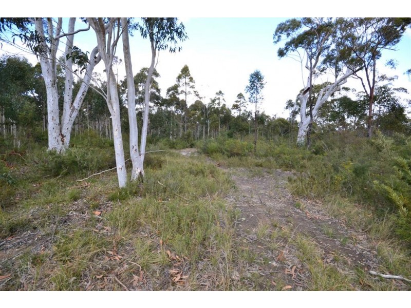 Lot 6 Princes Highway, Falls Creek NSW 2540