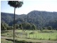 Lot 22 Brogers Creek Road, Berry NSW 2535