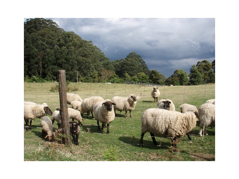 Lot 22 Brogers Creek Road, Berry NSW 2535