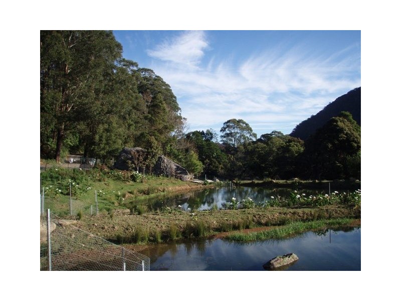 Lot 22 Brogers Creek Road, Berry NSW 2535