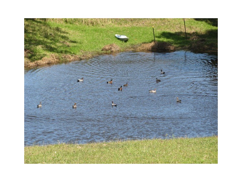 18 Roxborough Road, Berry NSW 2535