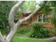 149 Meroo Road, Bomaderry NSW 2541