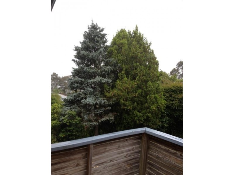 60 ILLAROO ROAD, North Nowra NSW 2541