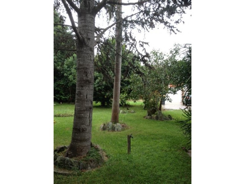 60 ILLAROO ROAD, North Nowra NSW 2541