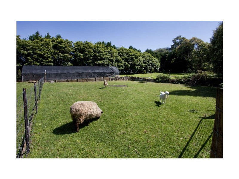 501 Kangaroo Valley Road, Berry NSW 2535