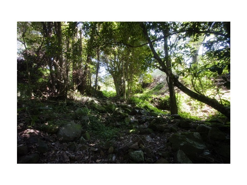 501 Kangaroo Valley Road, Berry NSW 2535