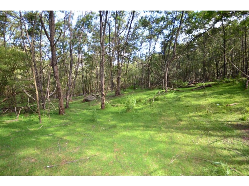 223 Yerriyong Road, Nowra Hill NSW 2540