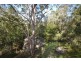 223 Yerriyong Road, Nowra Hill NSW 2540