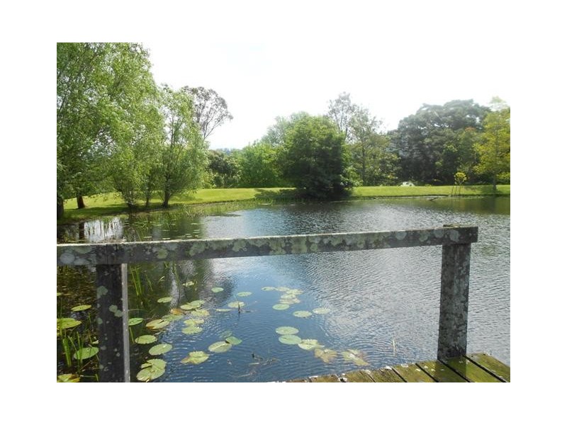 37 Princes Highway, Foxground NSW 2534