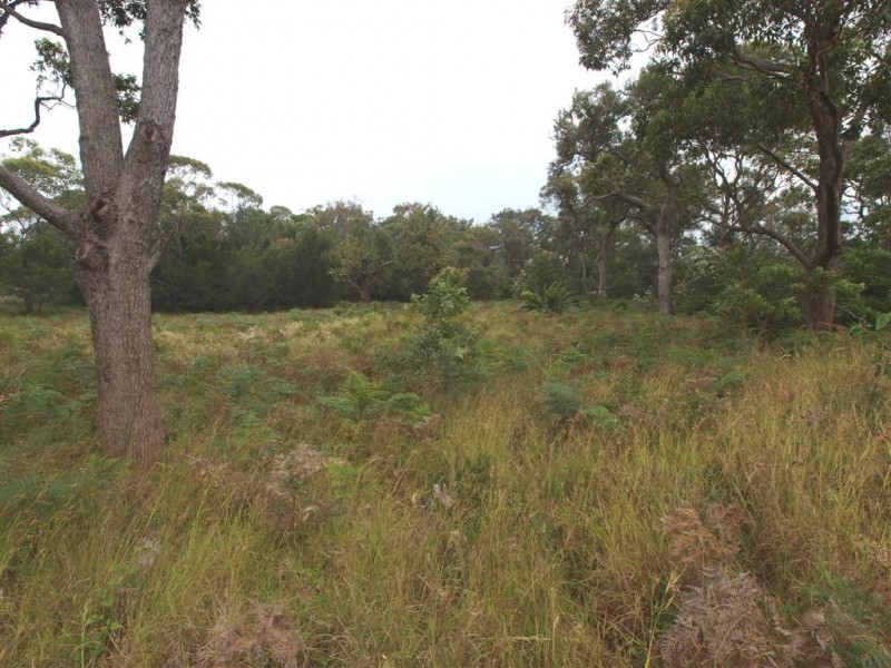 138 Scott Street, Shoalhaven Heads NSW 2535