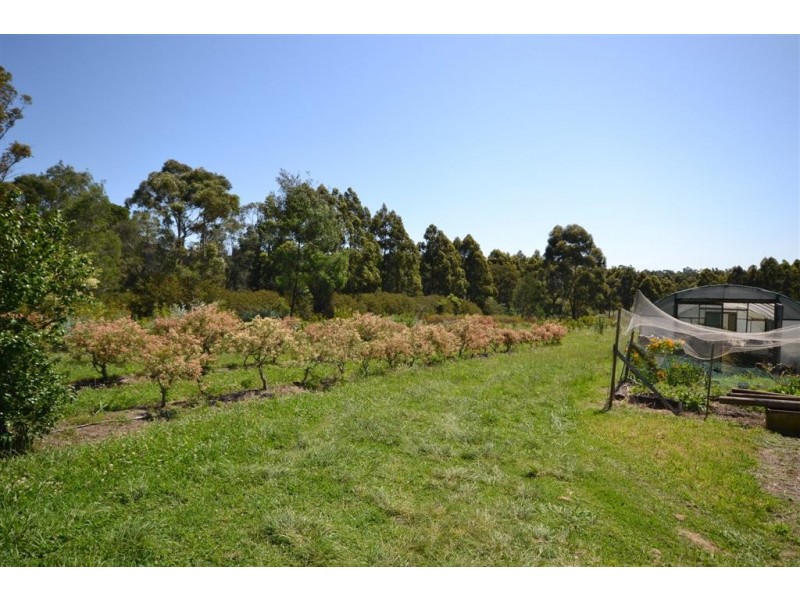 40 Gardner Road, Falls Creek NSW 2540