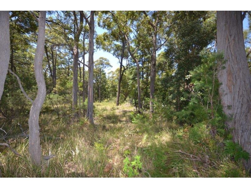Lot 12 and 13 Lilly Pilly Lane, Tapitallee NSW 2540
