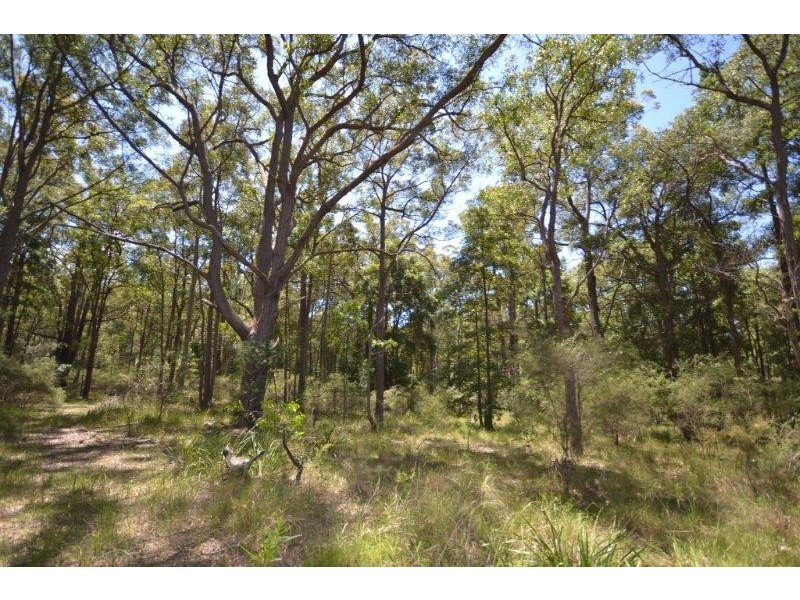 Lot 12 and 13 Lilly Pilly Lane, Tapitallee NSW 2540