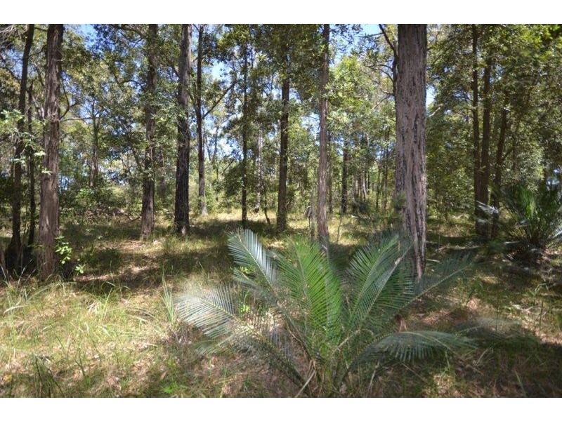 Lot 12 and 13 Lilly Pilly Lane, Tapitallee NSW 2540