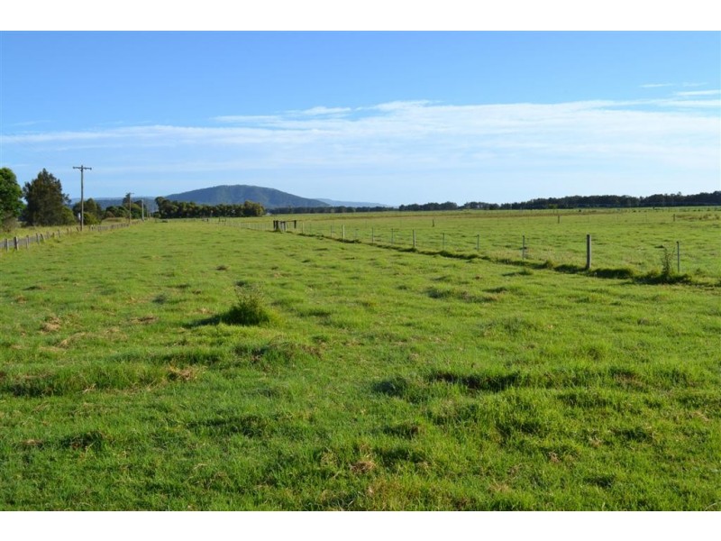 Lot 2 Ryans Lane, Pyree NSW 2540