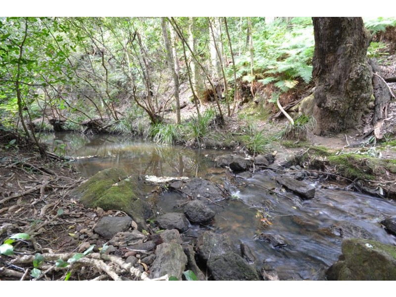 935 Illaroo Road, Tapitallee NSW 2540