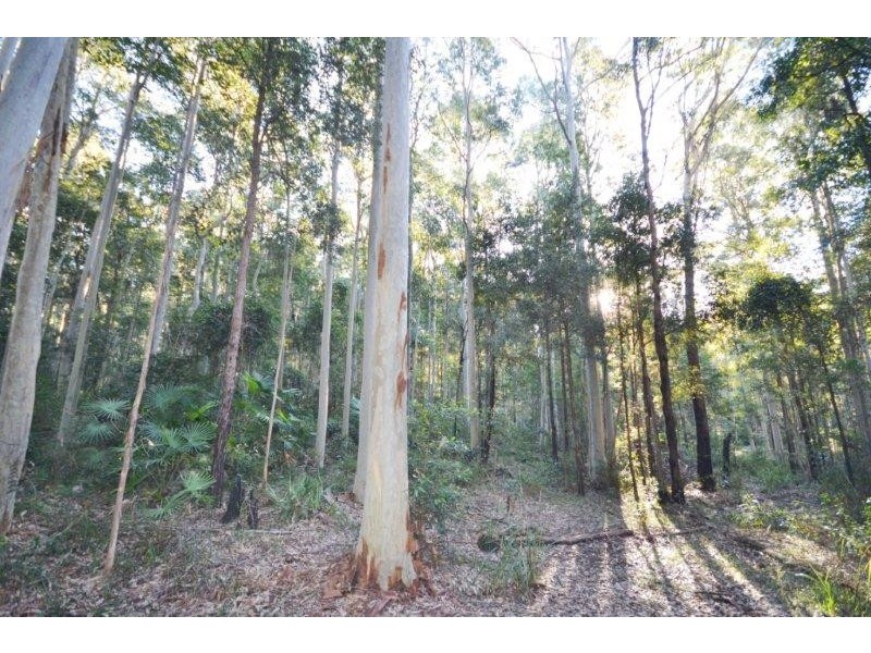Lot 13 Suffolk Road, Tomerong NSW 2540