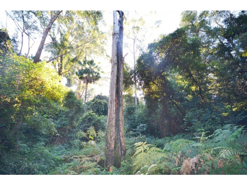 Lot 13 Suffolk Road, Tomerong NSW 2540