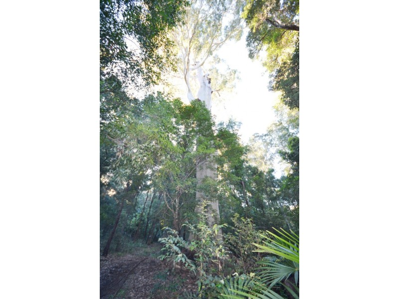 Lot 13 Suffolk Road, Tomerong NSW 2540