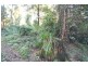 Lot 13 Suffolk Road, Tomerong NSW 2540
