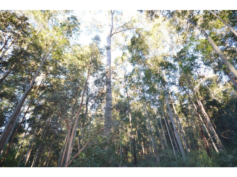 Lot 13 Suffolk Road, Tomerong NSW 2540