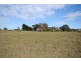 351 Greenwell Point Road, Worrigee NSW 2540