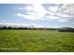 351 Greenwell Point Road, Worrigee NSW 2540
