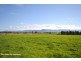 351 Greenwell Point Road, Worrigee NSW 2540