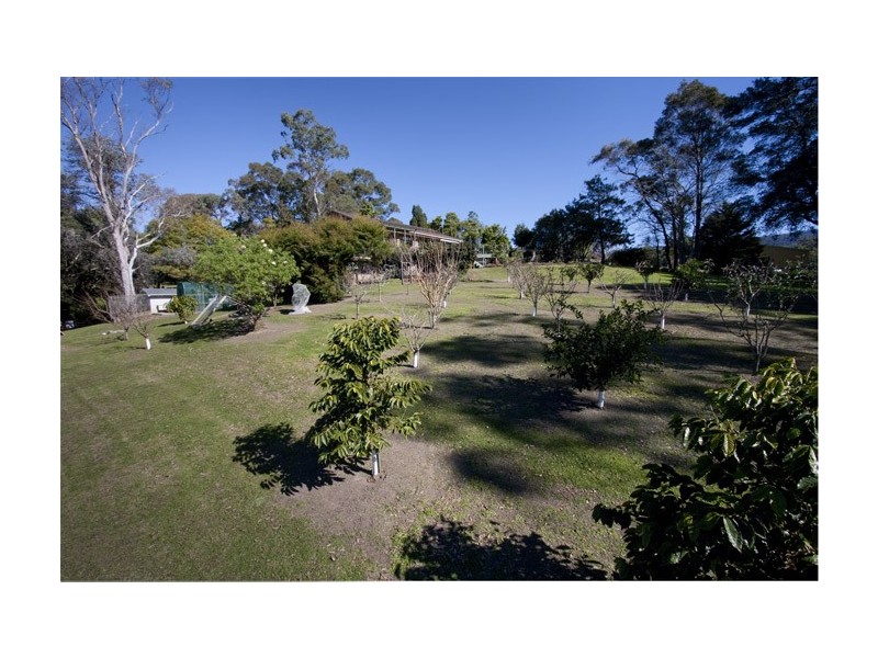 96 Croziers Road, Jaspers Brush NSW 2535