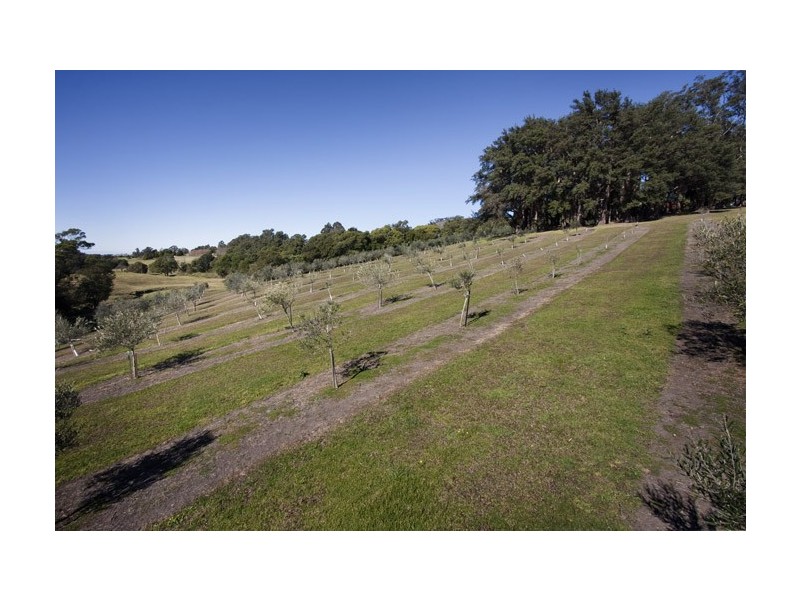 96 Croziers Road, Jaspers Brush NSW 2535