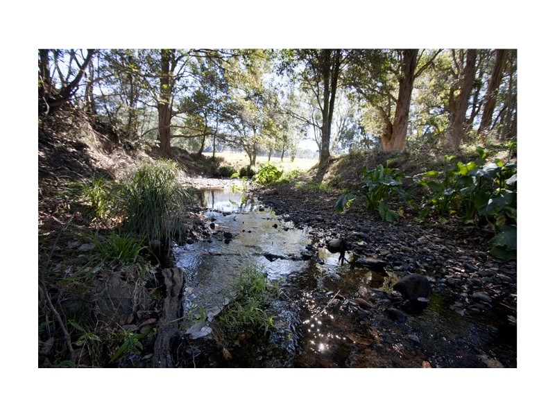 96 Croziers Road, Jaspers Brush NSW 2535