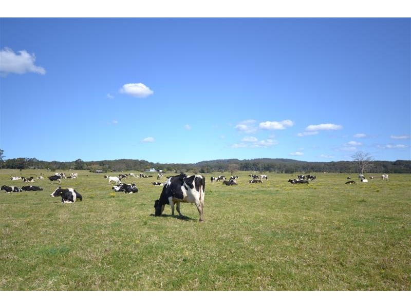 37 Harley Hill Road, Berry NSW 2535